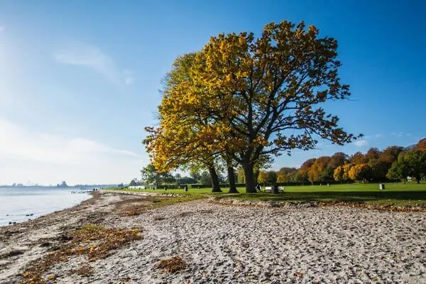 Διαμέρισμα Lys, Charmerende, Taet Pa Hellerup